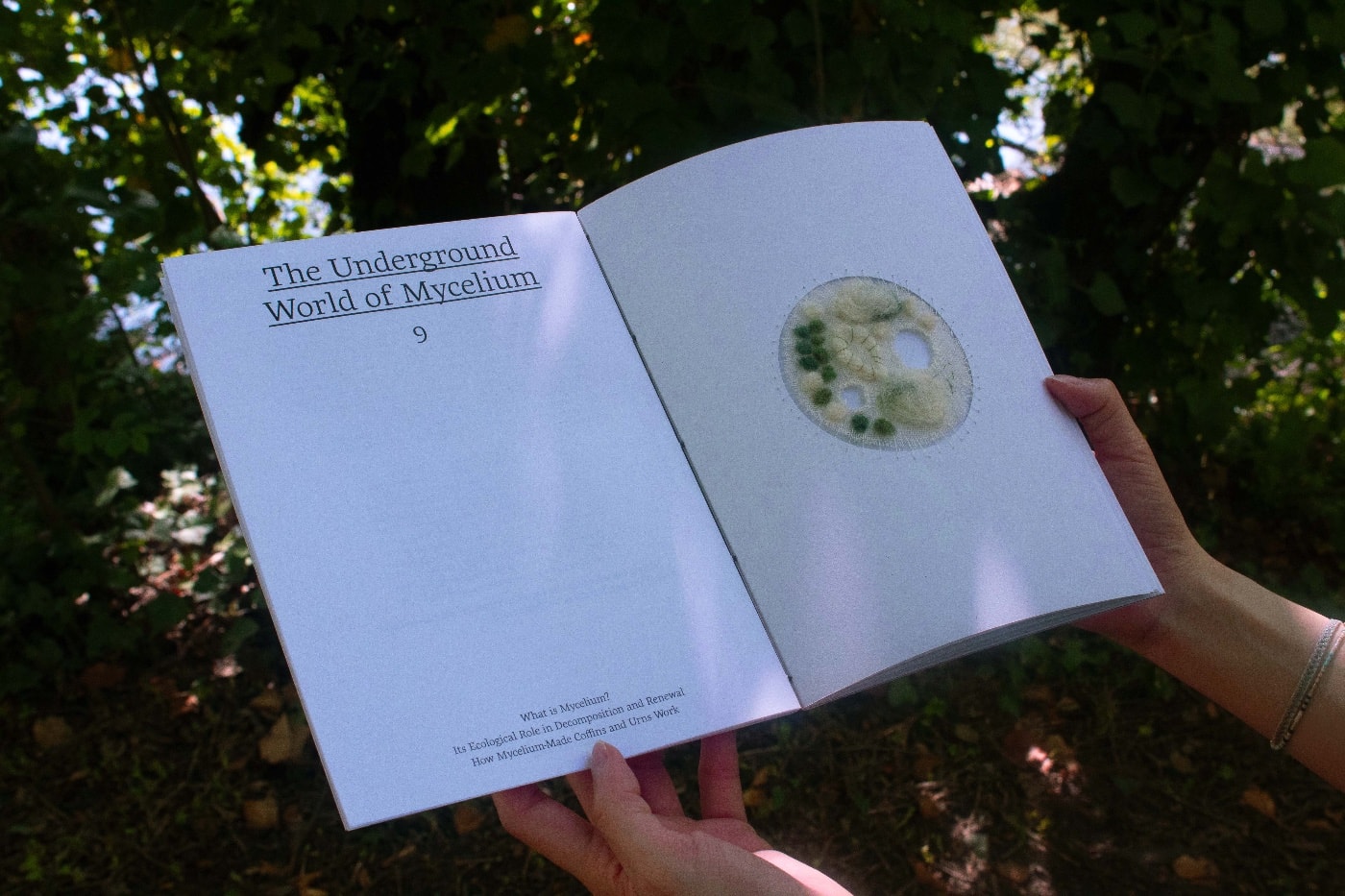 Opia Graphics - Portfolio work 1