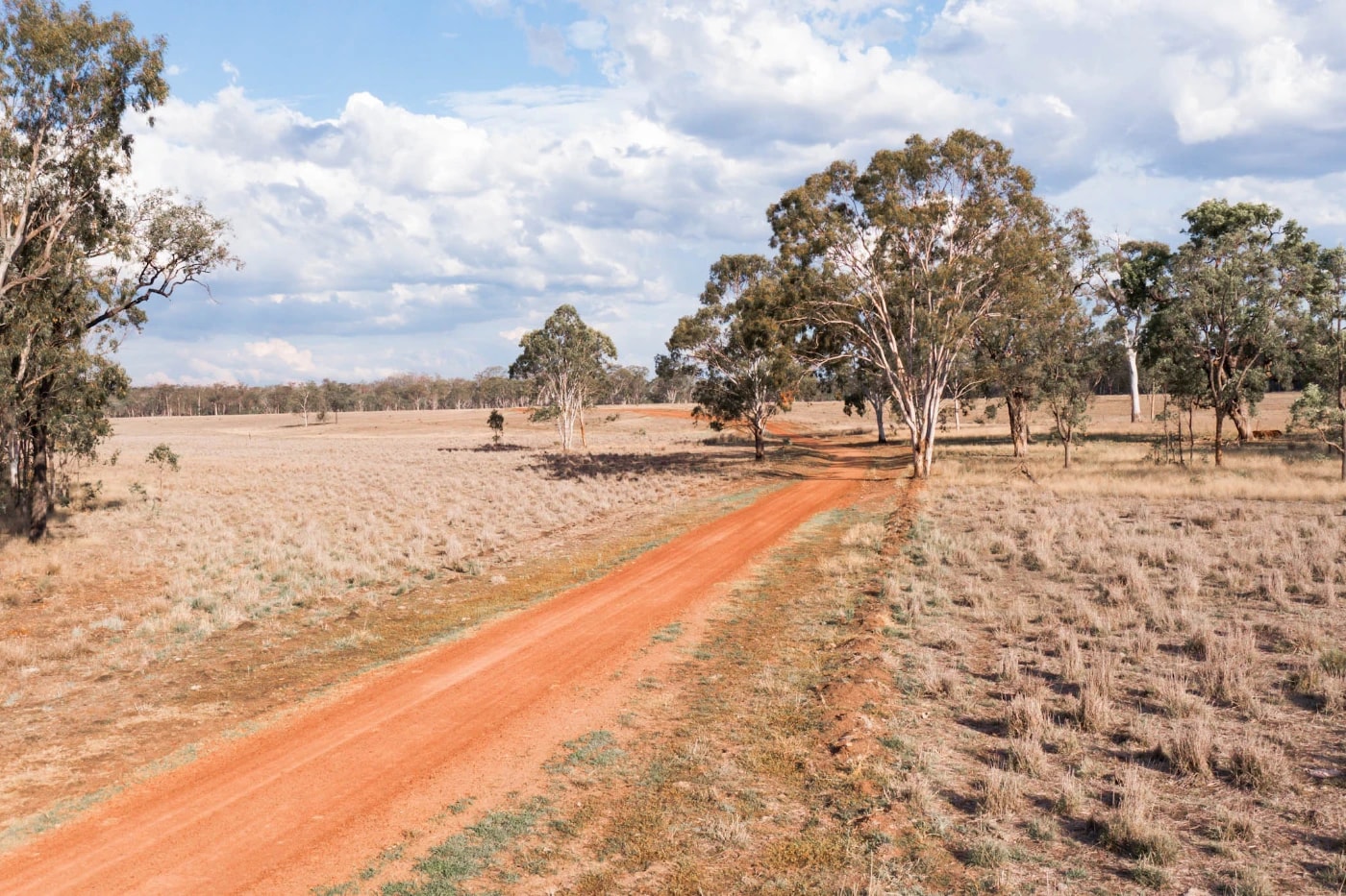 Davina Bambrick - Portfolio work 11