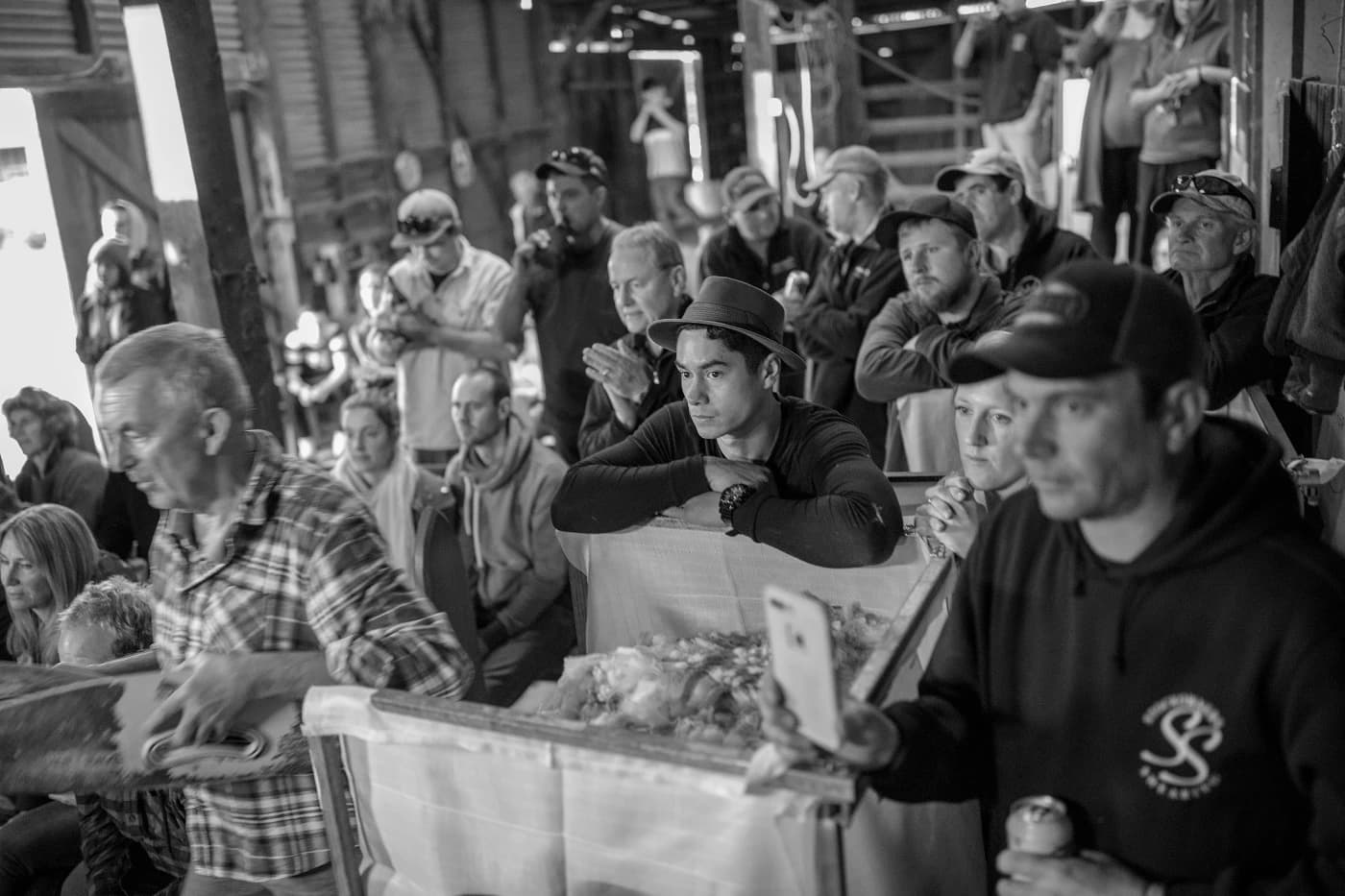 Sean Davey - Image 5