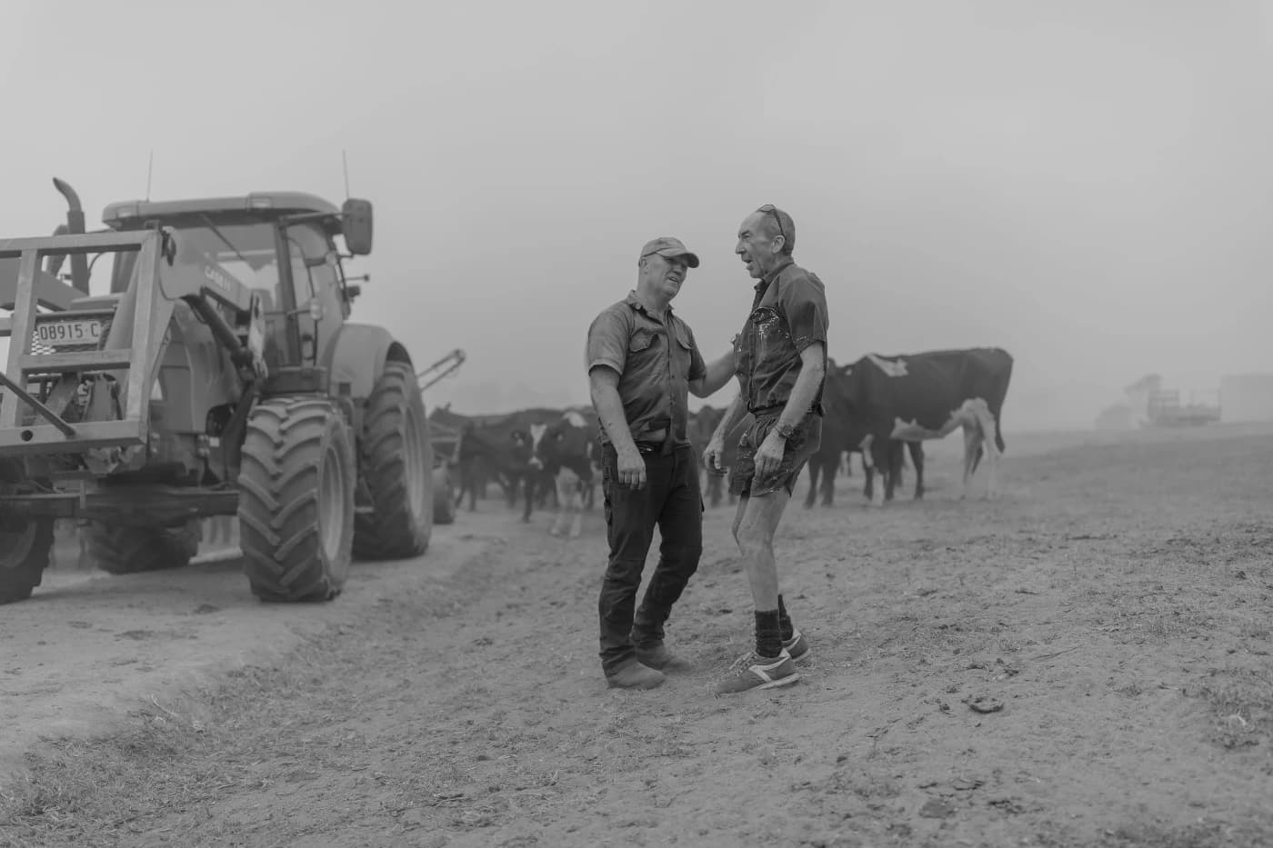 Sean Davey - Image 4