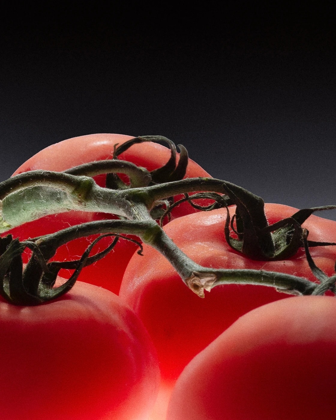 ΣΟΦΙΑ MAY - Portfolio work 3