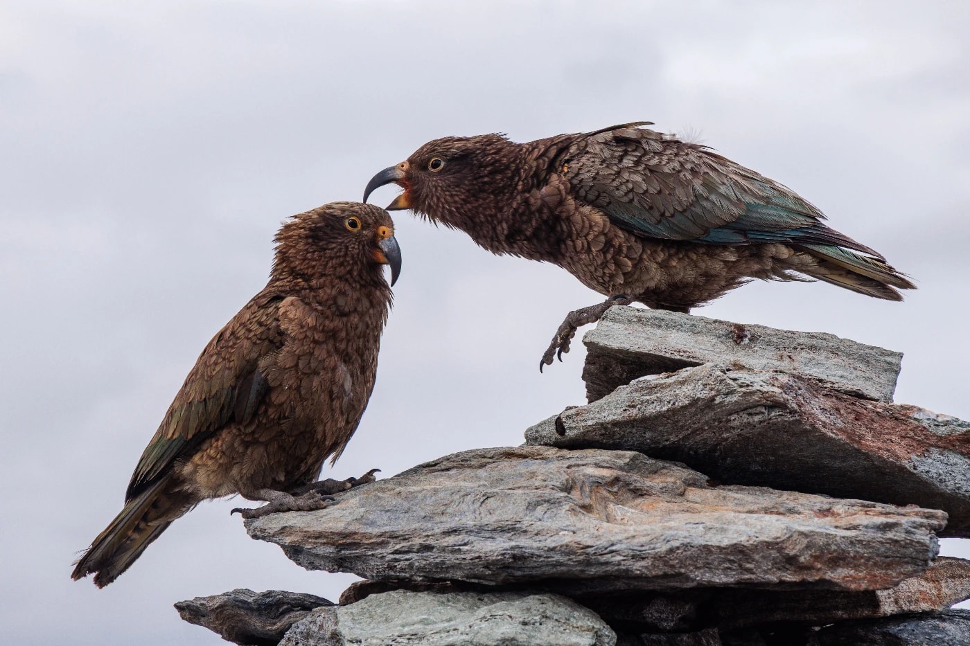 DAVIDOLENNON - Portfolio work 2