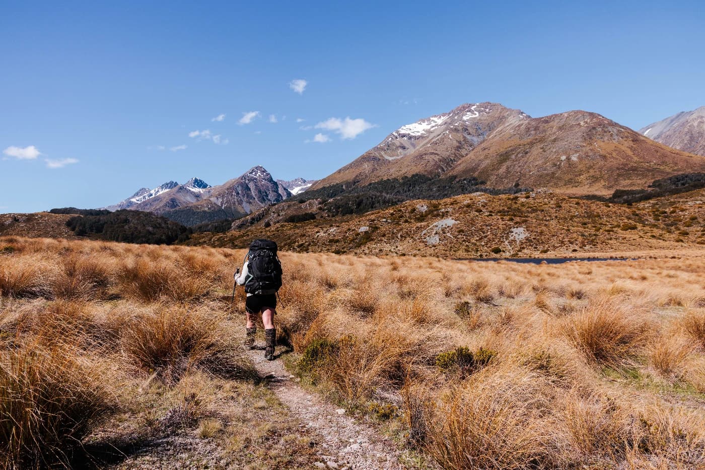 DAVIDOLENNON - Image 7