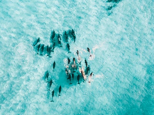 Jess Bowen - Portfolio work 4