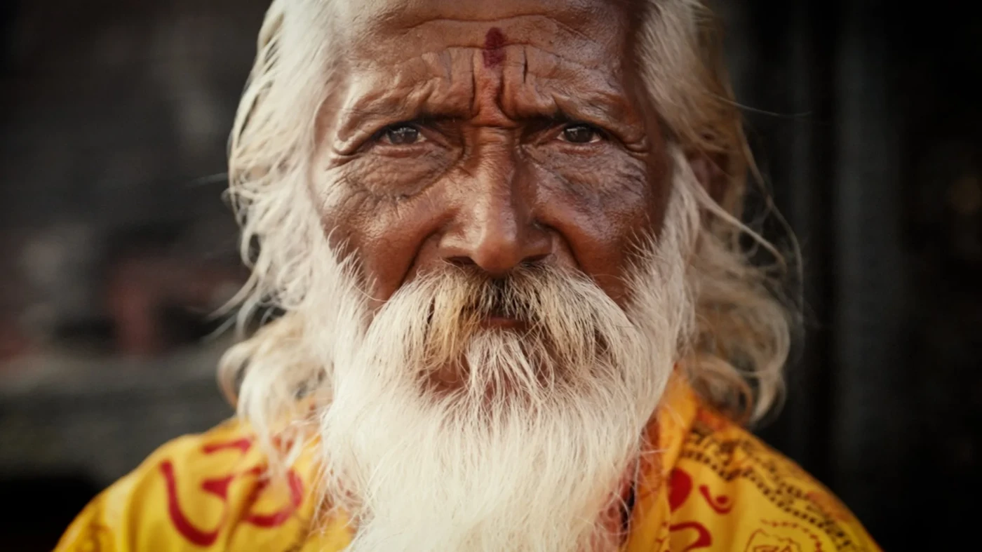 Robert Shedden - Portfolio work 1