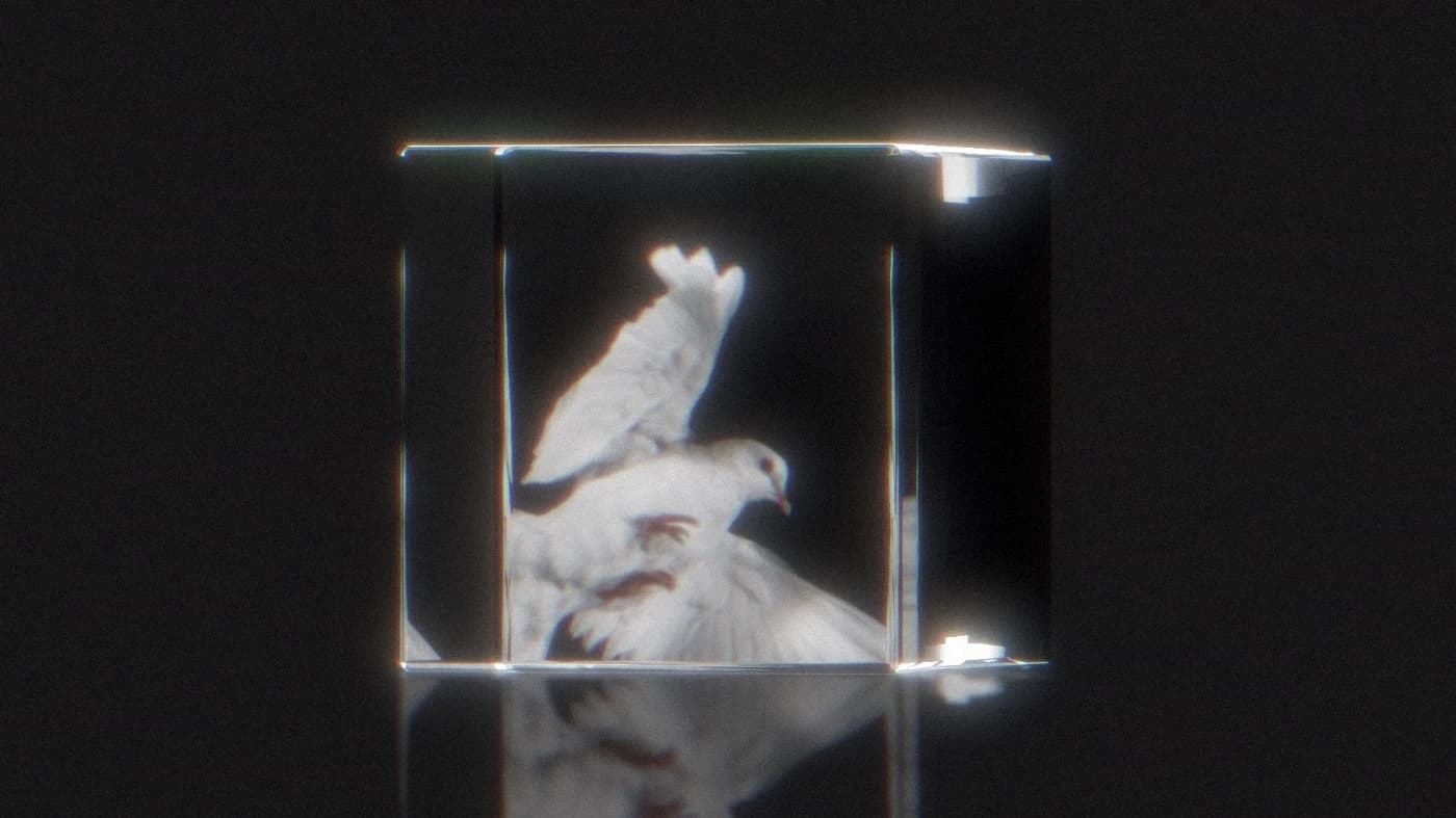 Jonny Grace Motion Design - Image 6