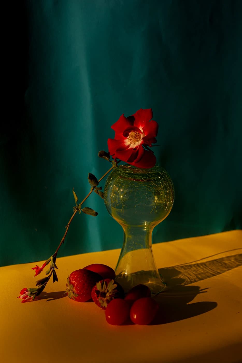 Carmen Alcedo Photography - Image 5