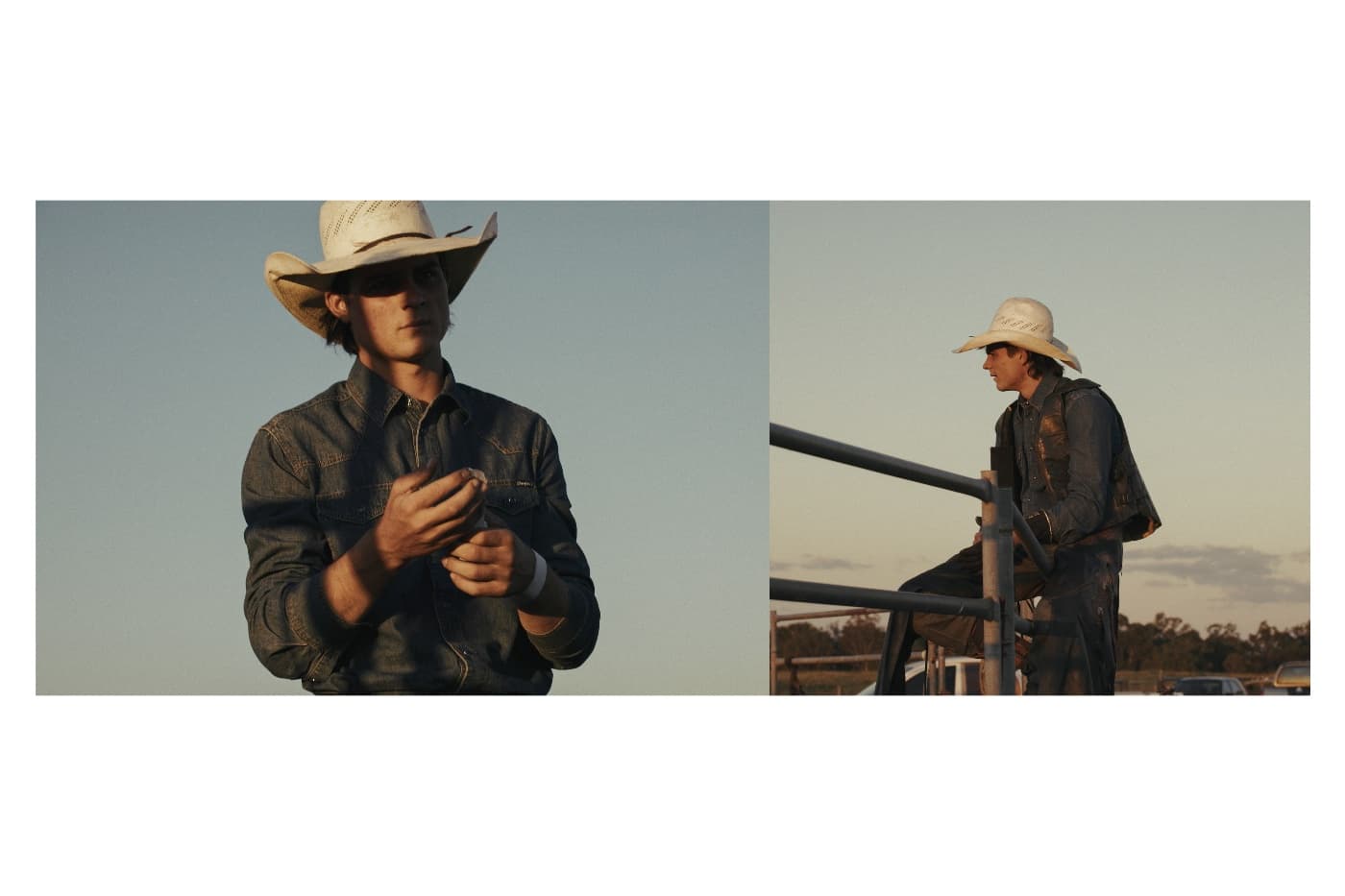 Lucas Gardner - Image 4