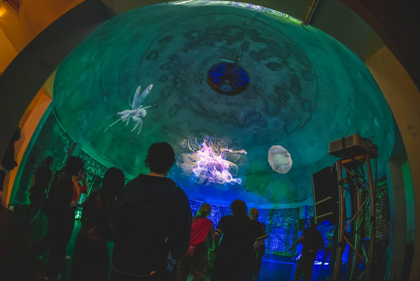 DUSKLUMIA - Portfolio work 5