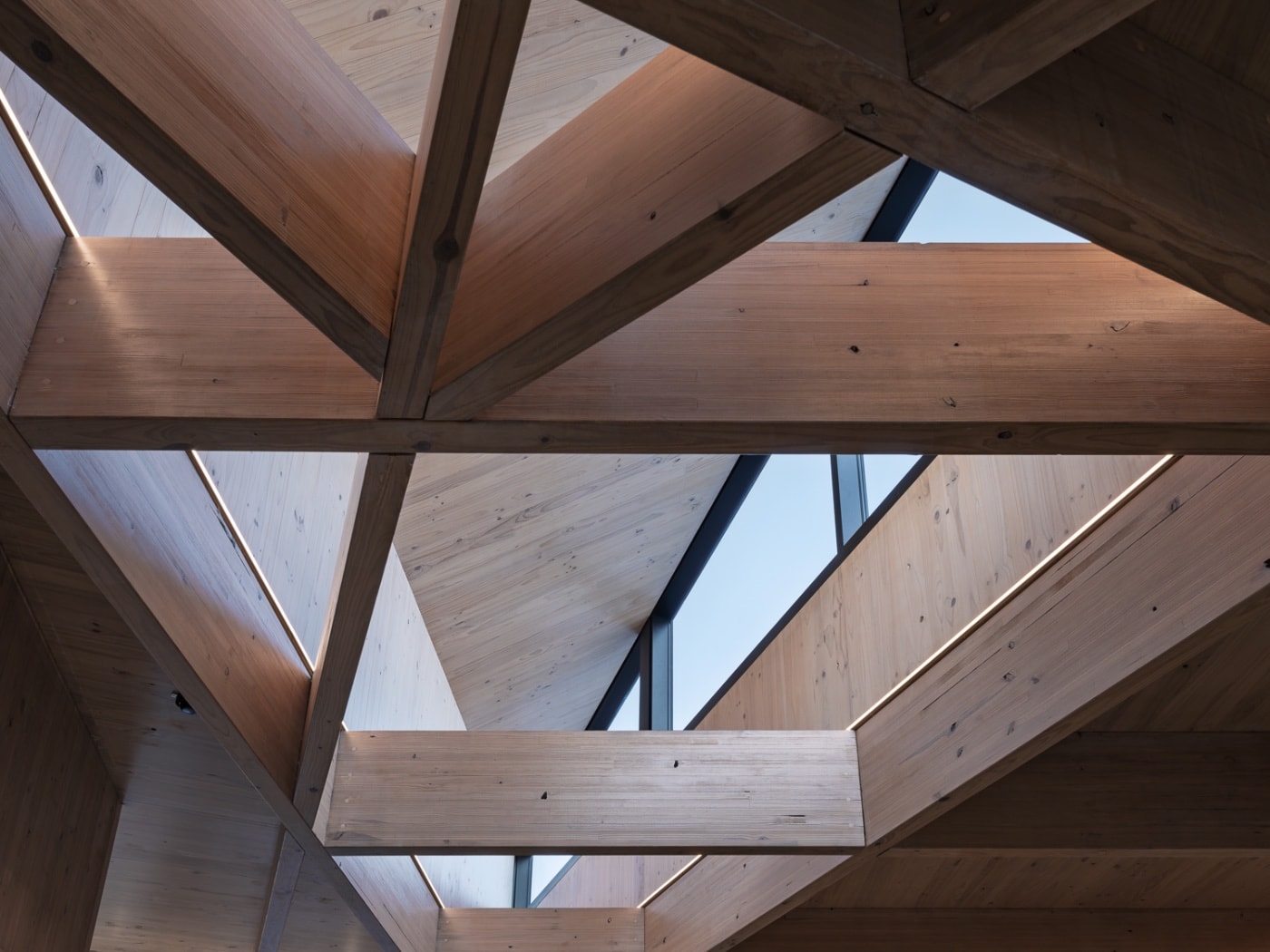 MARK SYKE PHOTO - Portfolio work 1