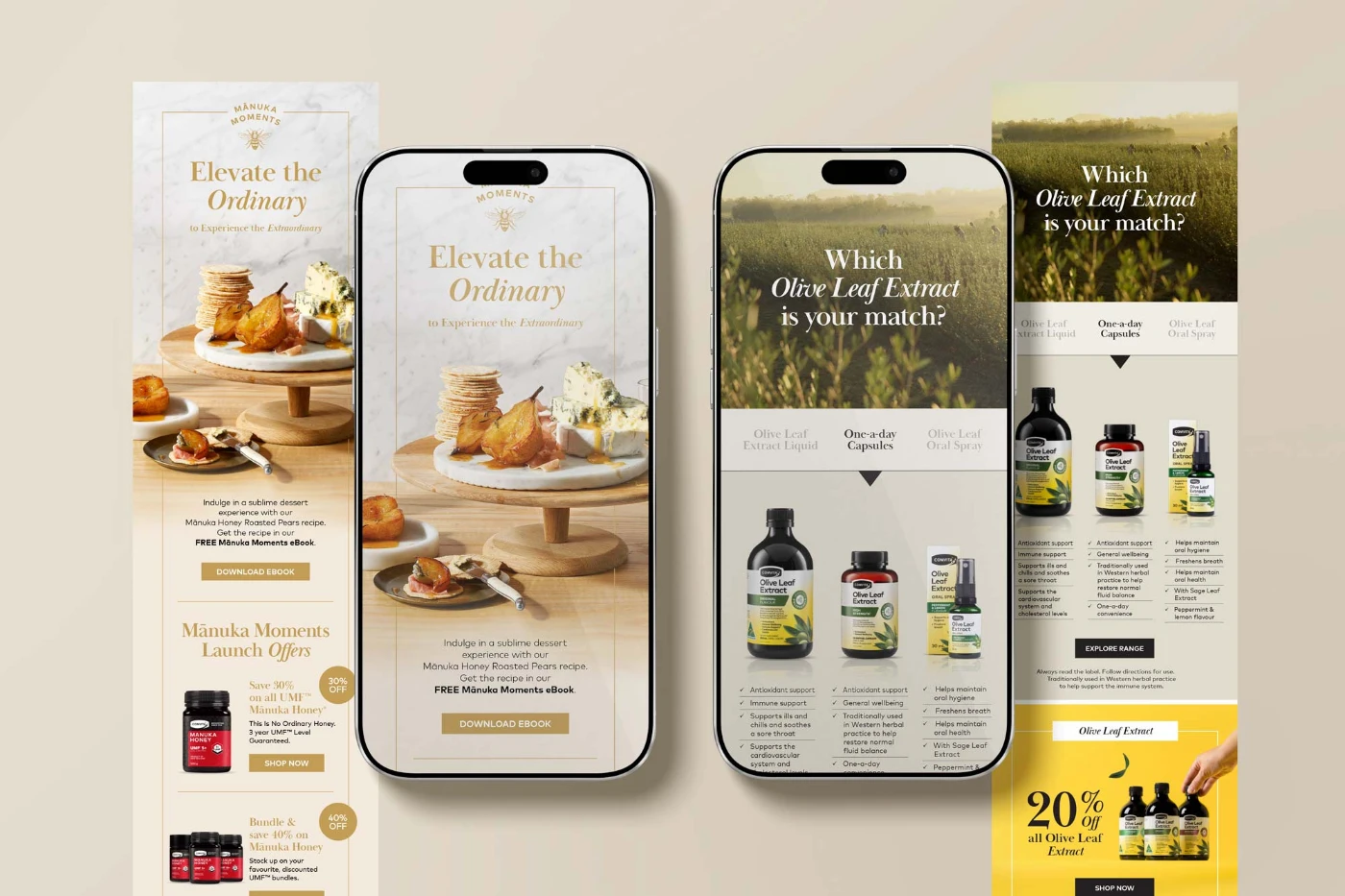 Adacy - Portfolio work 5