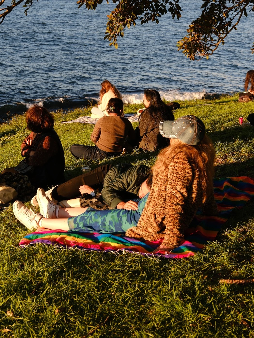 Seded Altansukh - Portfolio work 1