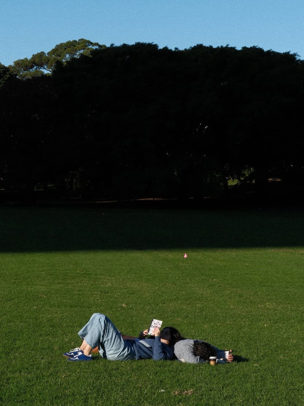 Seded Altansukh - Image 6