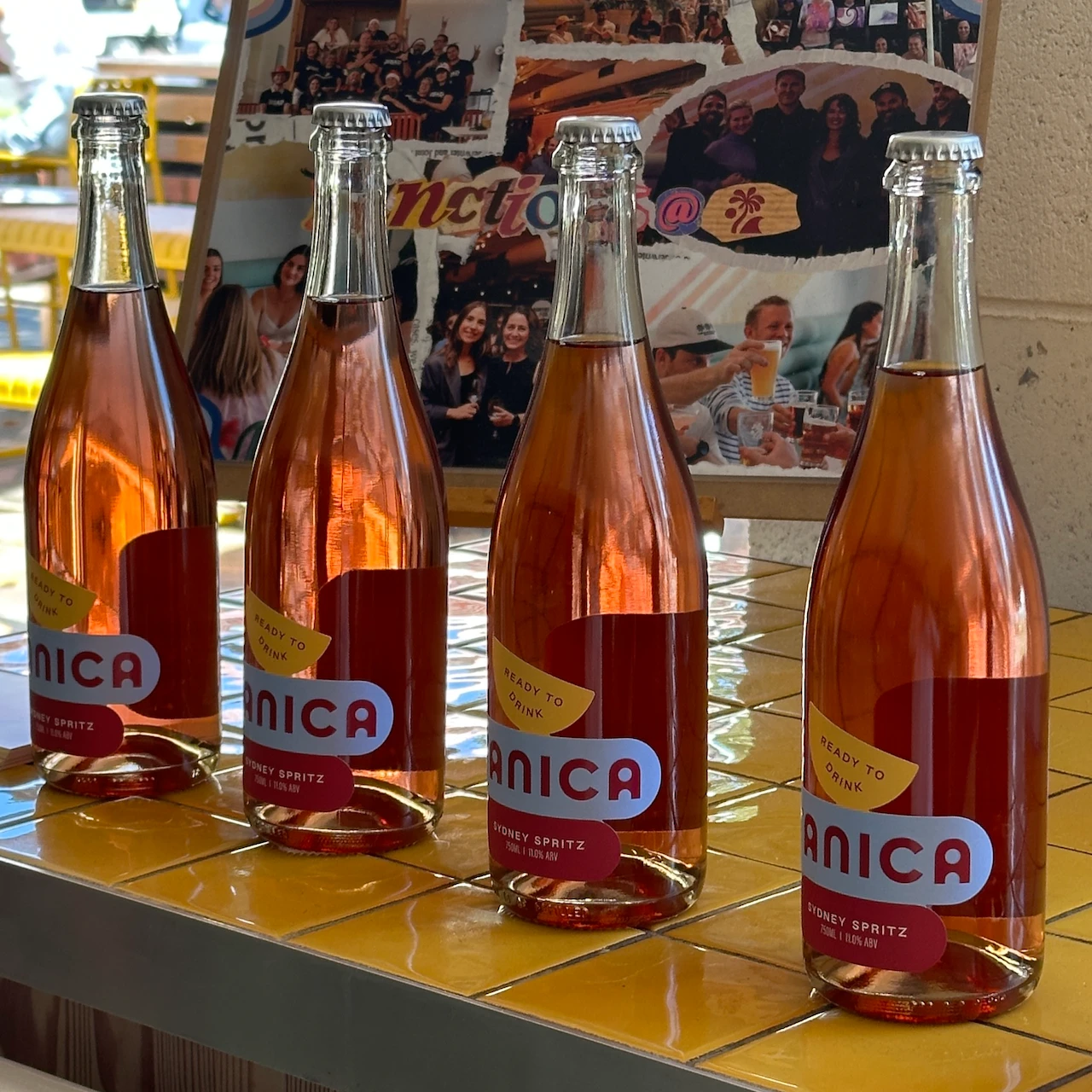 Trellis Socials - Portfolio work 1